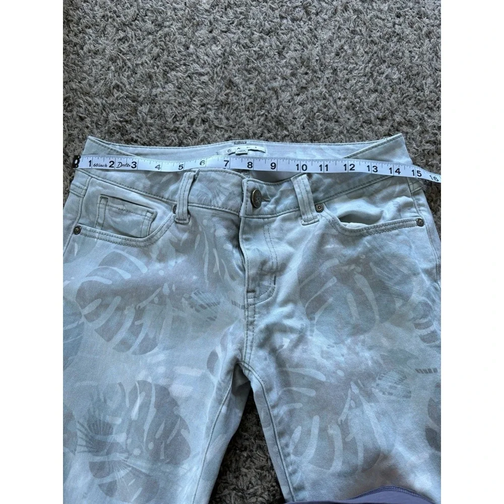 CAbi paradise palm
